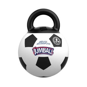 BALON DE FUTBOL CON ASA 30 cm.